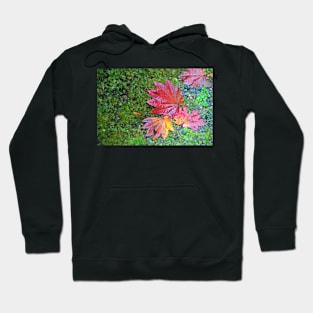 Ground Color Hoodie